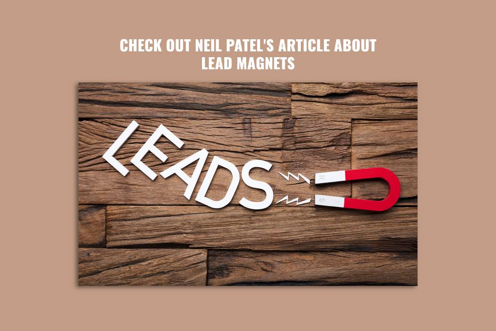Checkout Neil Patel's Guide on Lead Magnets